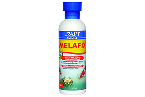 API Pond Melafix 473ml kháng khuẩn cho bệnh koi và cá vàng